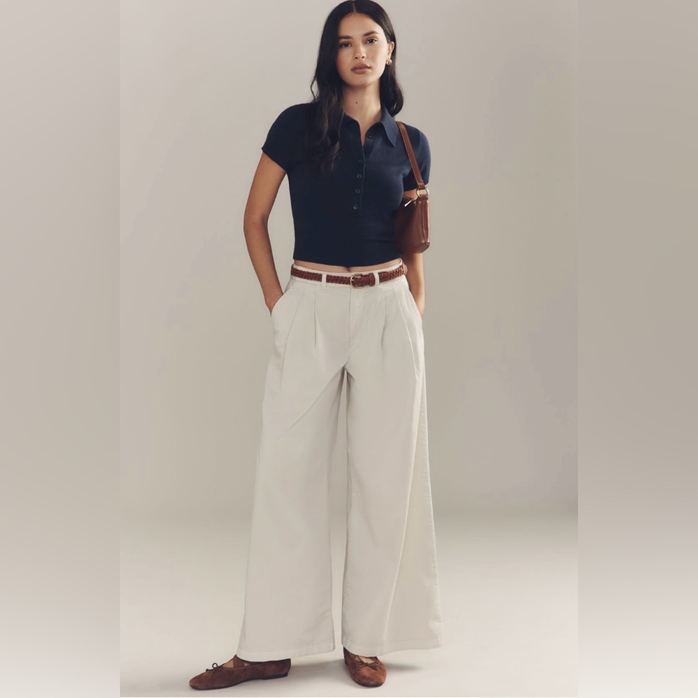 Anthropologie Low Rise Pleated Wide Leg Trousers In: Vaporous Gray - Picture 2 of 7